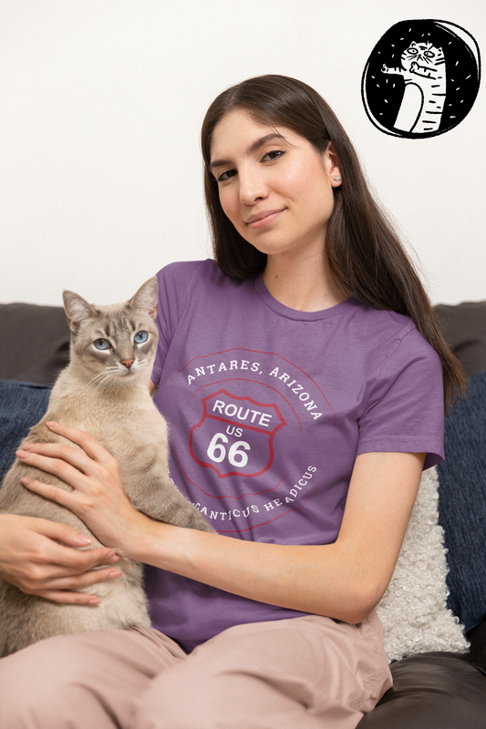 Antares, AZ: Site of the Giganticus Headicus