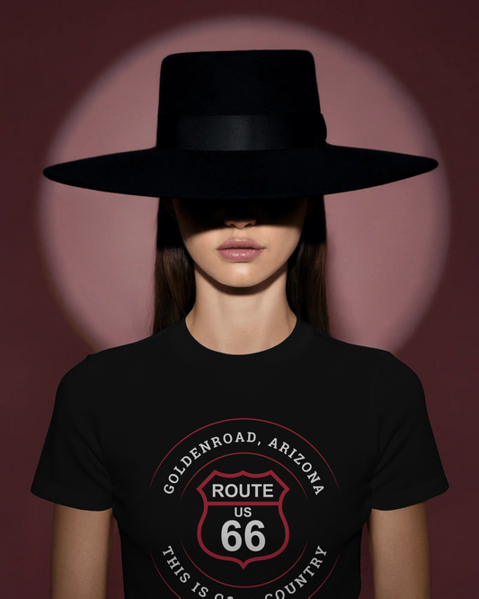 Goldenroad, AZ: This is Gold Country