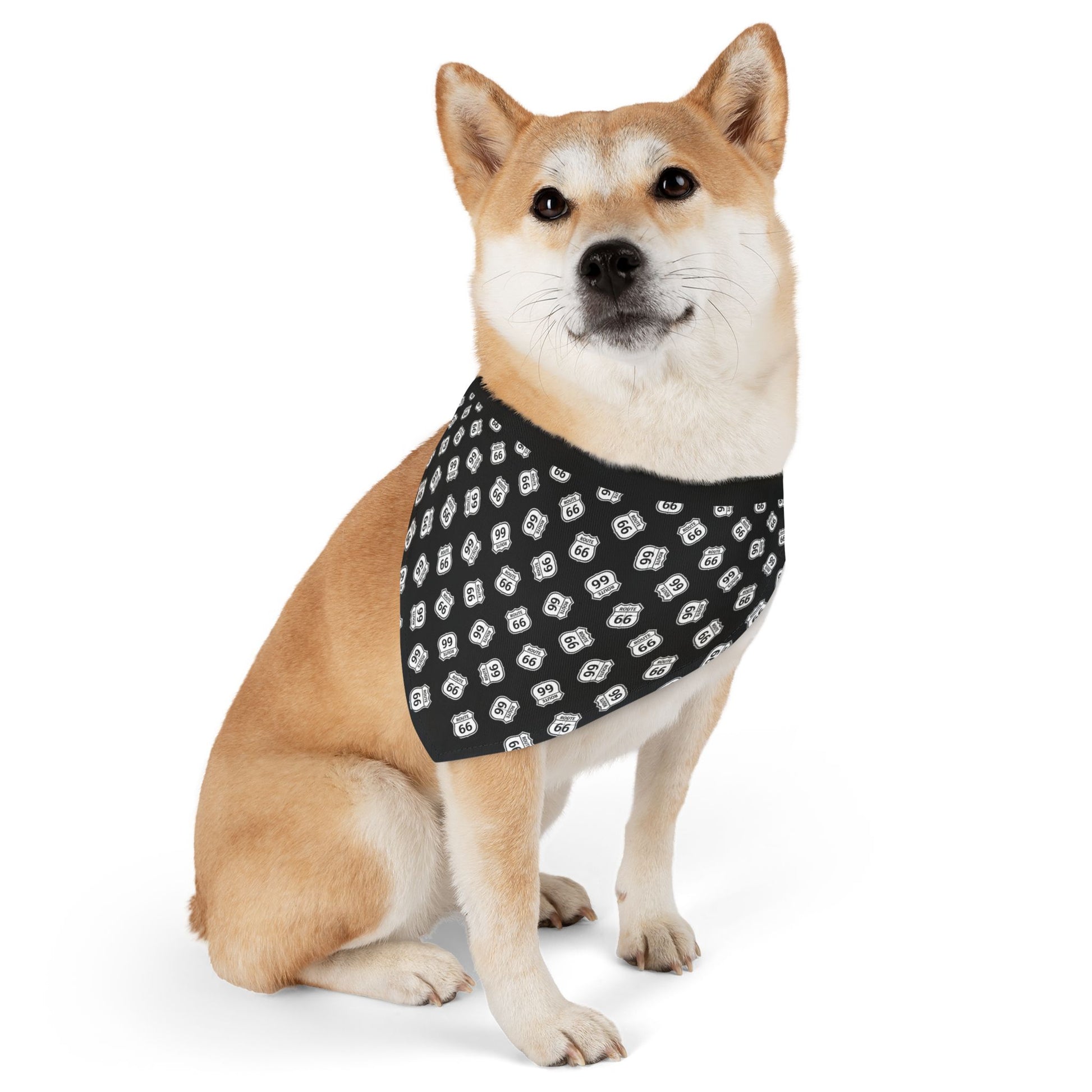 A dog is wearing a black bandana with multiple Route 66 shield icons