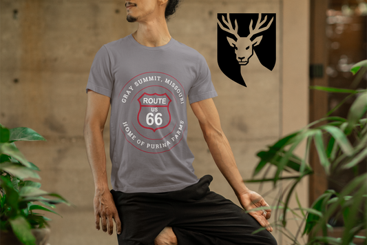 Male model wearing a grey retro Route 66 unisex jersey tee with a Gray Summit, MO: "Home of Purina Farms" design