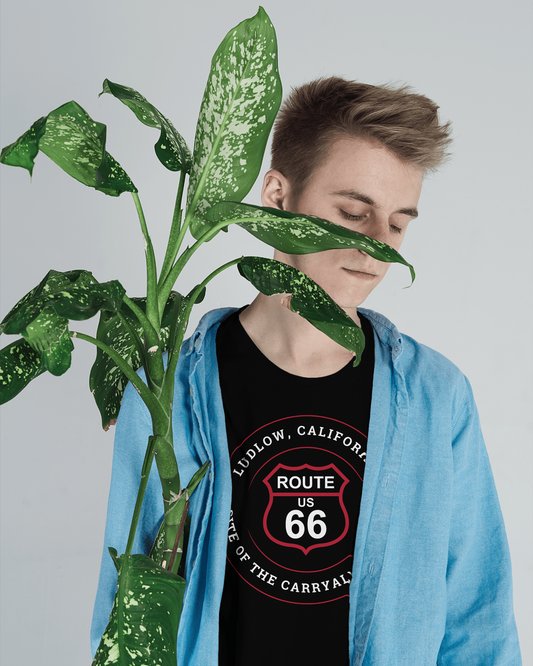 Male model wearing black retro Route 66 unisex jersey tee with Ludlow, CA: "Site of the Carryall Project" design