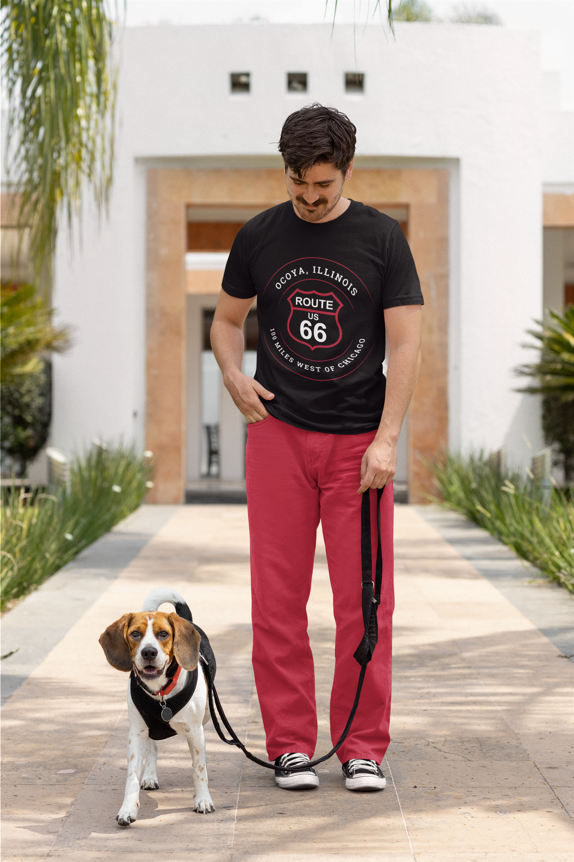 Male model walking his beagle and wearing a black retro Route 66 unisex jersey tee with a Ocoya, IL: "100 Miles West of Chicago" design and red oversized pants