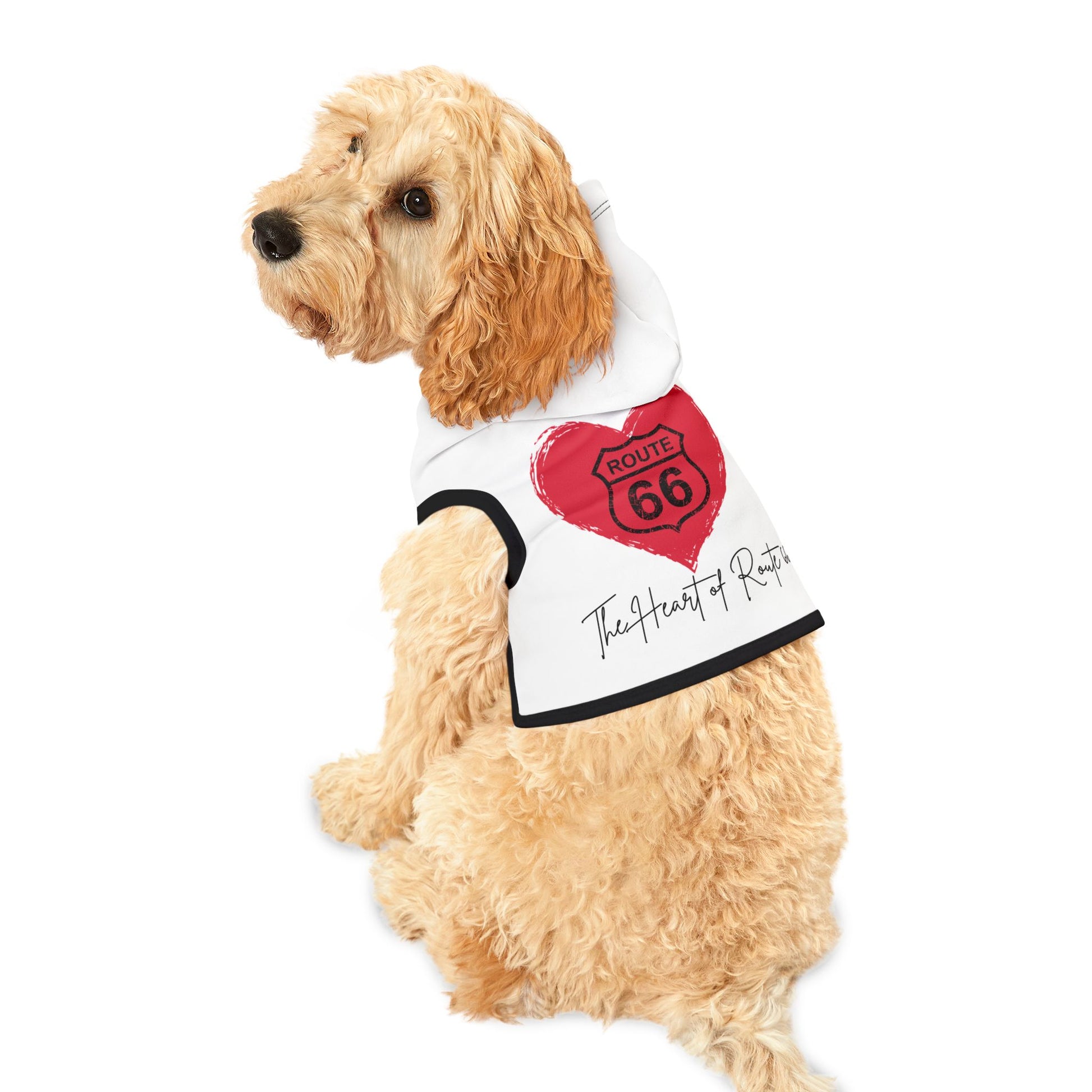 Goldendoodle sitting and looking back while wearing a white Route 66 pet hoodie with black ribbed trim and a large red heart design, with a Route 66 shield inside the heart and text that reads "The Heart of Route 66."